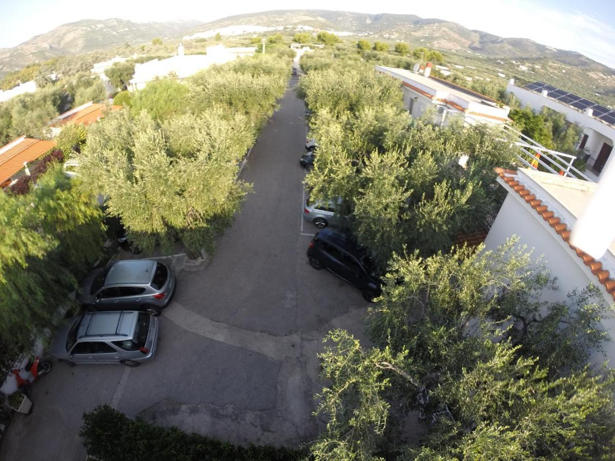 Residence Adriatico Mattinata Bagian luar foto