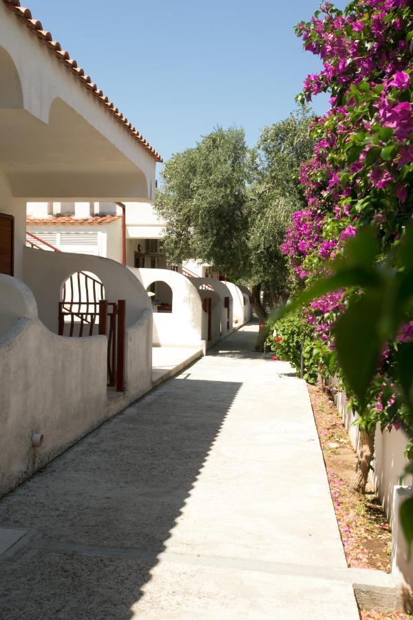 Residence Adriatico Mattinata Bagian luar foto