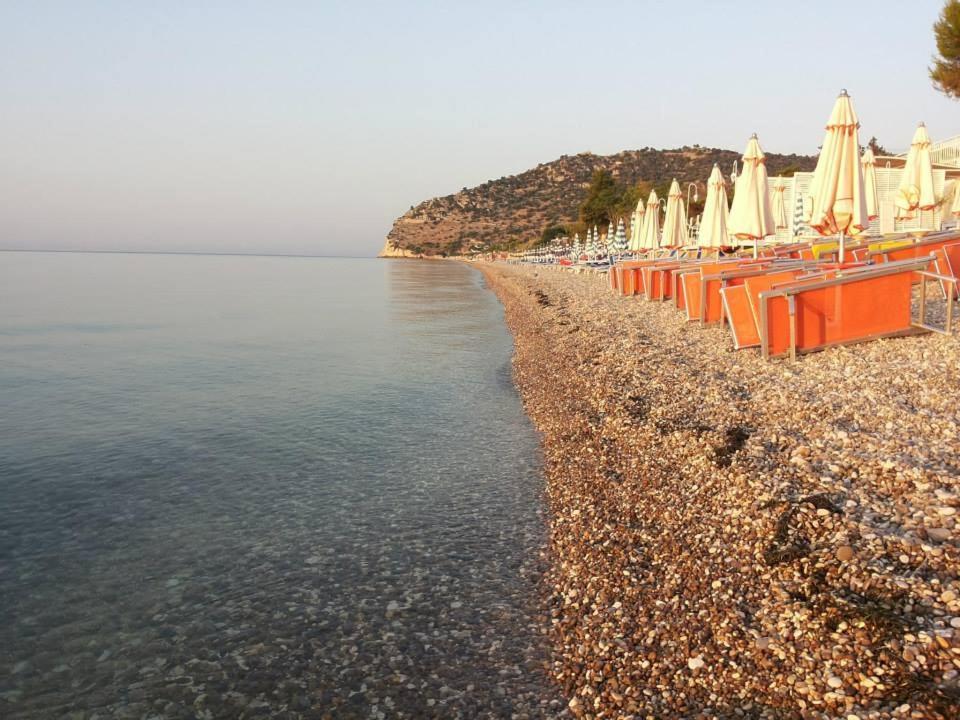 Residence Adriatico Mattinata Bagian luar foto
